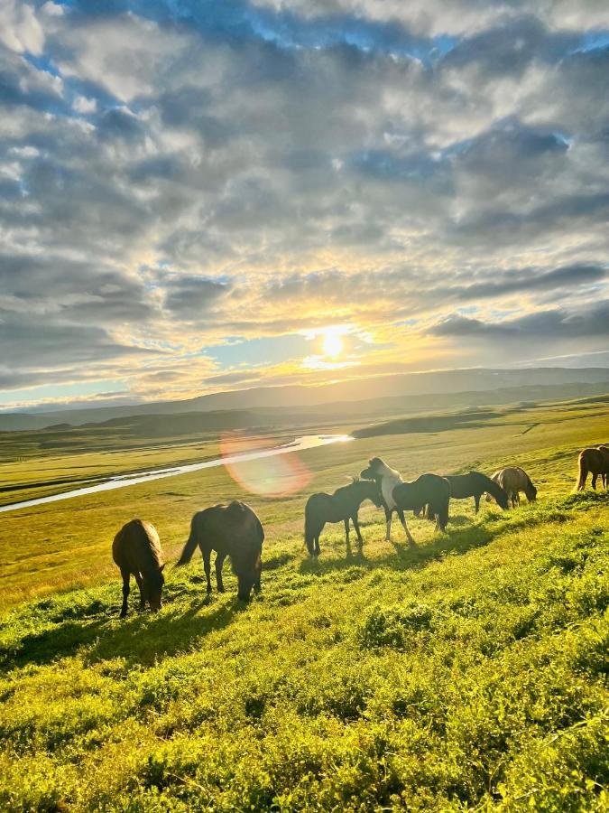 Stora-Asgeirsa Horse Farm Stay Vithigerthi Buitenkant foto