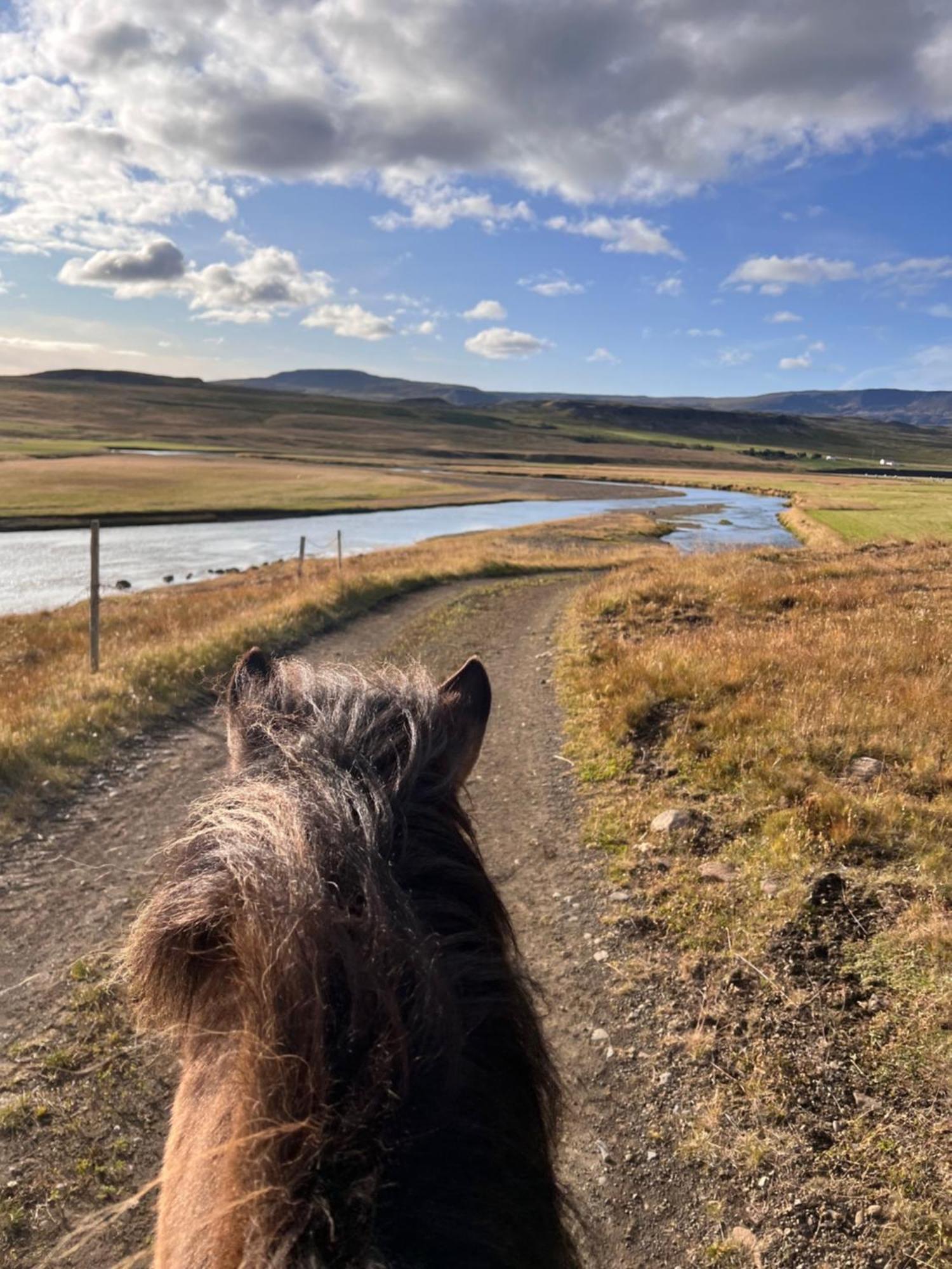 Stora-Asgeirsa Horse Farm Stay Vithigerthi Buitenkant foto