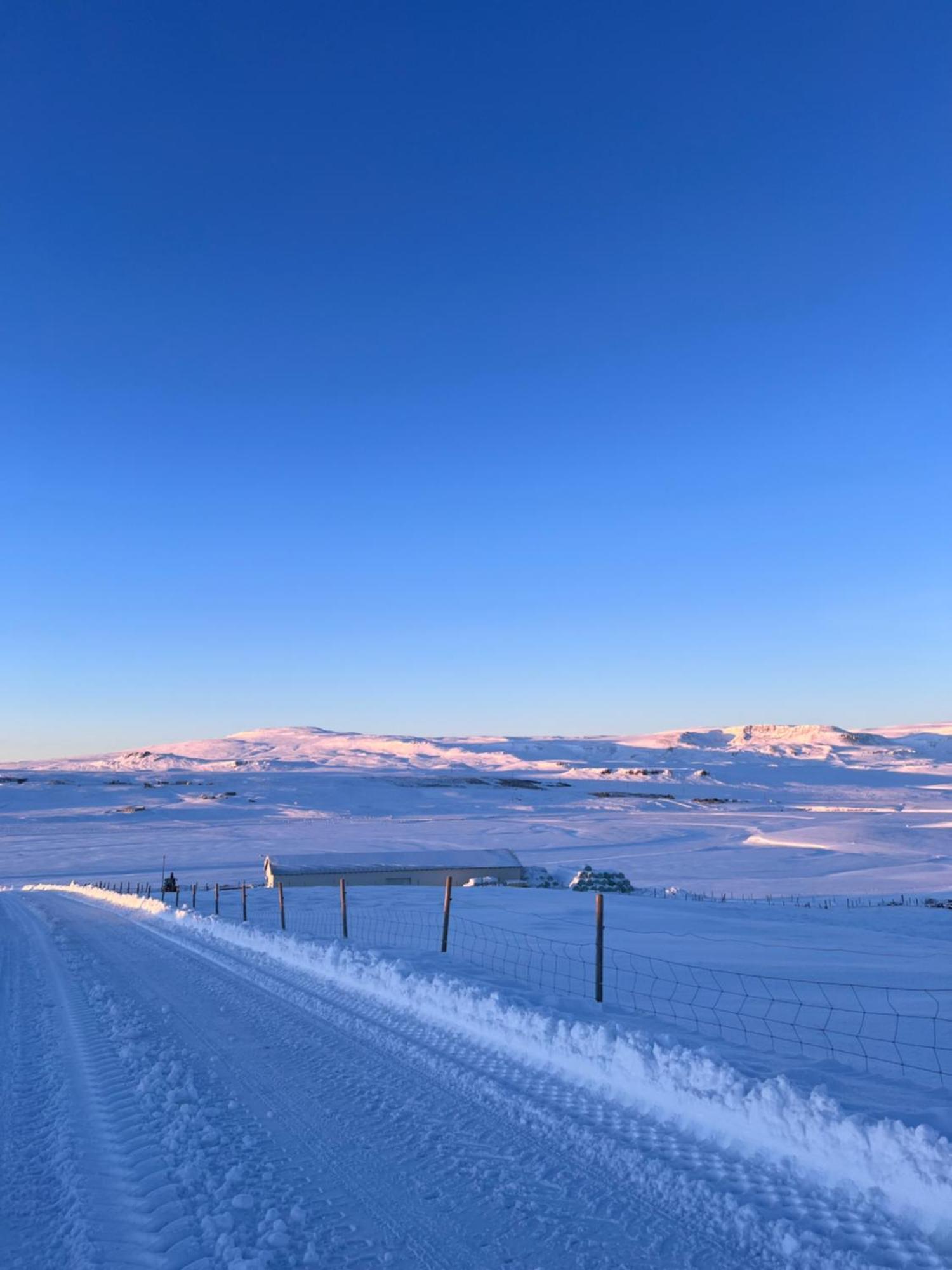 Stora-Asgeirsa Horse Farm Stay Vithigerthi Buitenkant foto