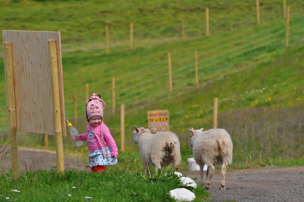 Stora-Asgeirsa Horse Farm Stay Vithigerthi Buitenkant foto