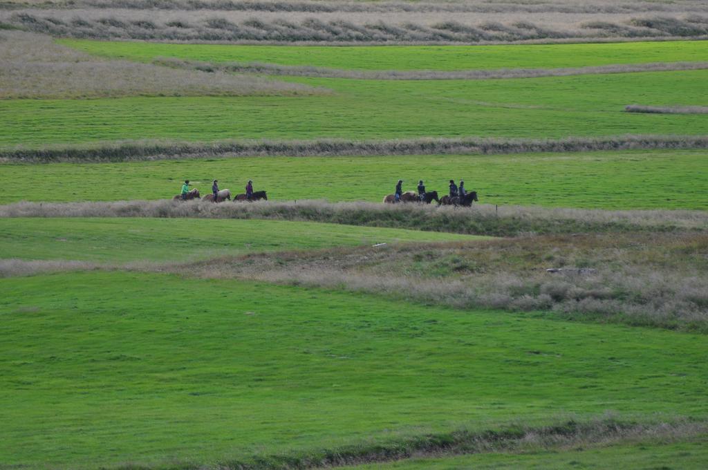 Stora-Asgeirsa Horse Farm Stay Vithigerthi Buitenkant foto