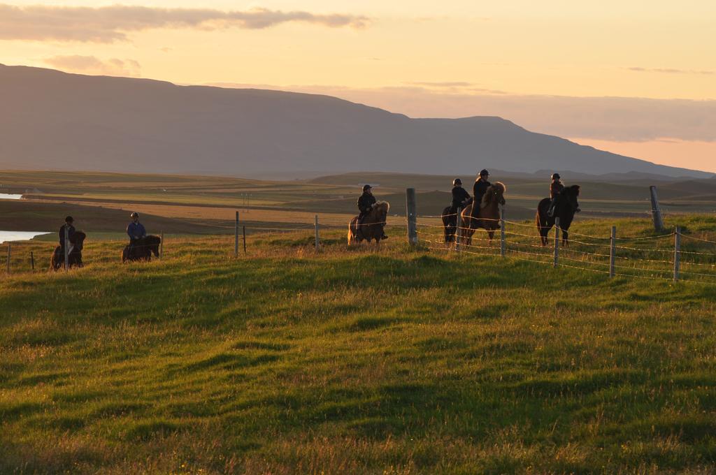 Stora-Asgeirsa Horse Farm Stay Vithigerthi Buitenkant foto